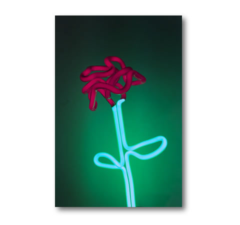 Thomson Fine Art - Neon Flower Sculpture